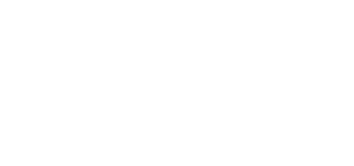 Vice Works LLC